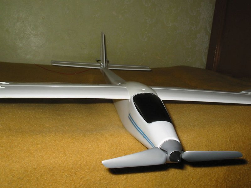 Accipiter badius rc sale plane